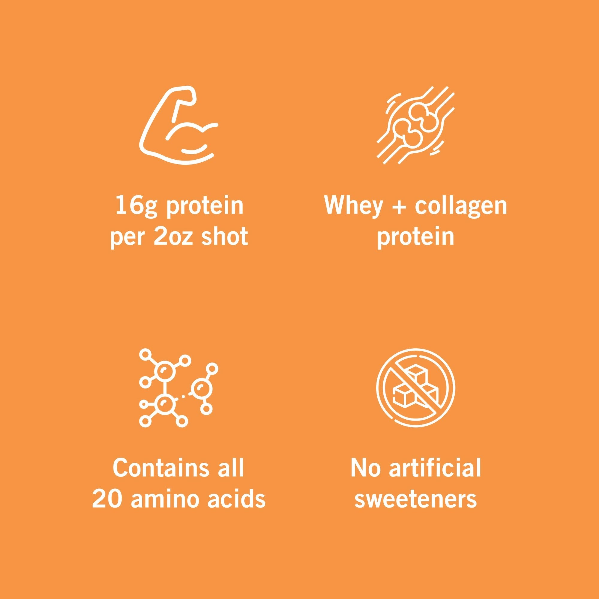 Vidafuel Wellness Protein Drink with Collagen and Whey, Berry Delight Flavor 02-222A